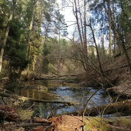Lägenhet Wodamoja - Nad Jeziorem