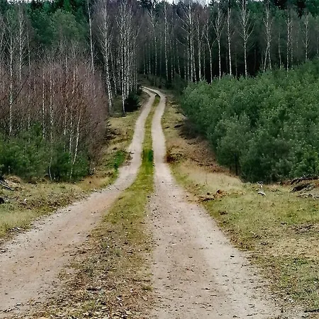 Wodamoja - Nad Jeziorem Stawiguda