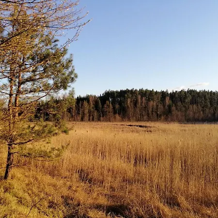 Wodamoja - Nad Jeziorem Stawiguda