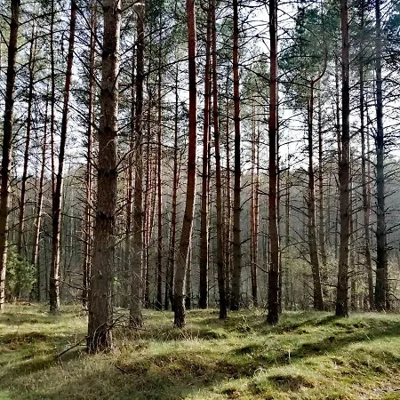 Lägenhet Wodamoja - Nad Jeziorem *