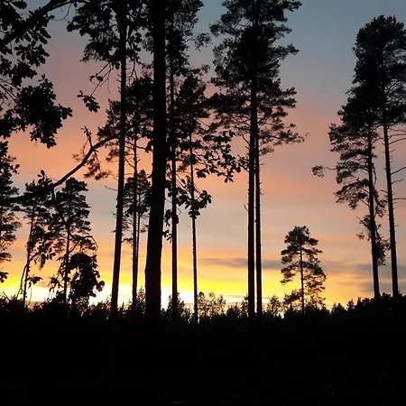 Wodamoja - Nad Jeziorem