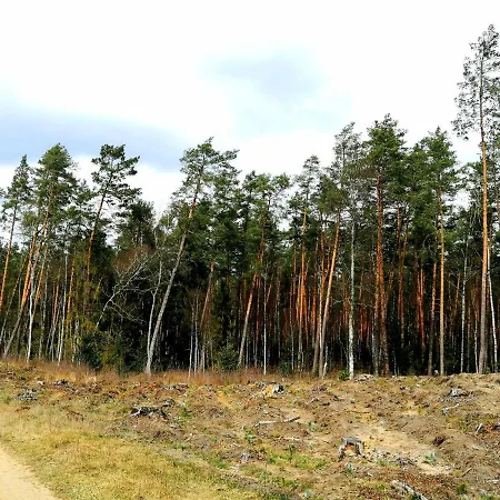 Wodamoja - Nad Jeziorem * Stawiguda