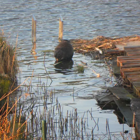 Wodamoja - Nad Jeziorem Stawiguda