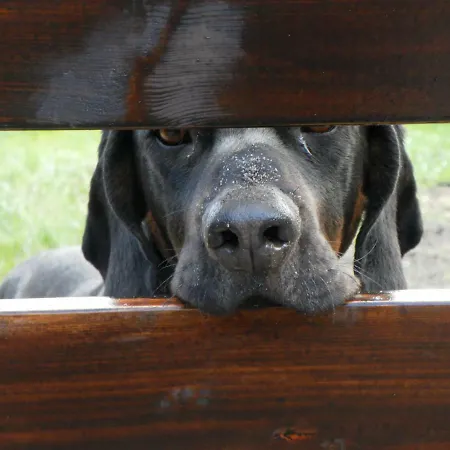 Apartment Wodamoja - Nad Jeziorem Stawiguda