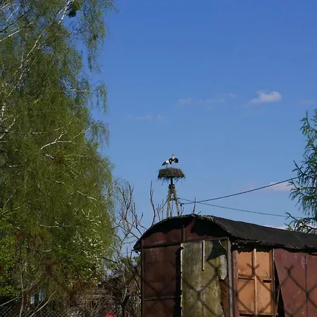 Wodamoja - Nad Jeziorem