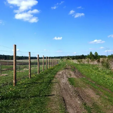 Wodamoja - Nad Jeziorem * Stawiguda